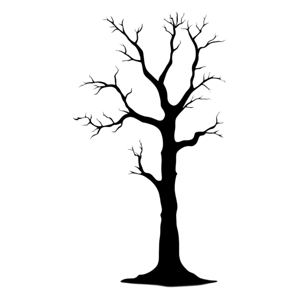 Silhouetted Leafless Tree with Intricate Branch Patterns in Nature png