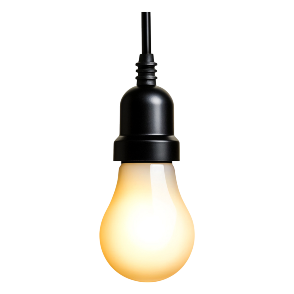 Elegant Black Pendant Light with Warm White Bulb Glow for Decor png
