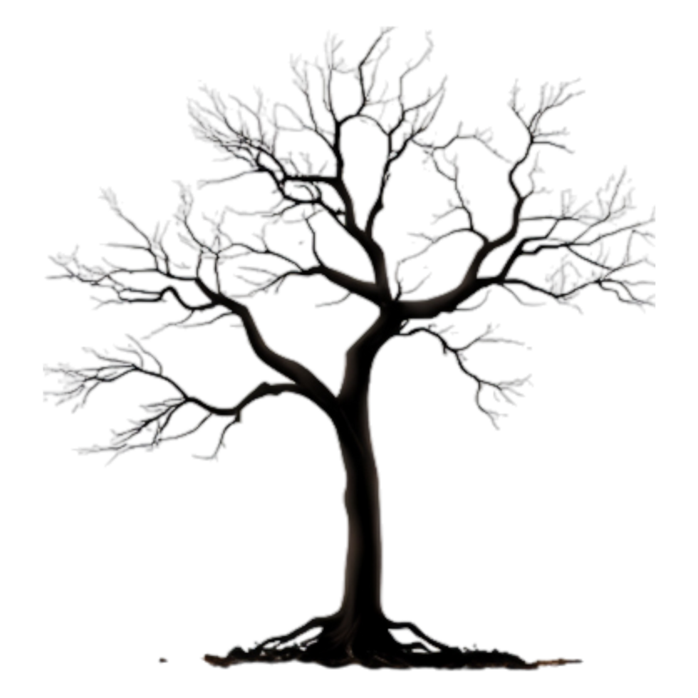 Detailed Silhouette of a Leafless Tree with Intricate Branches Design png