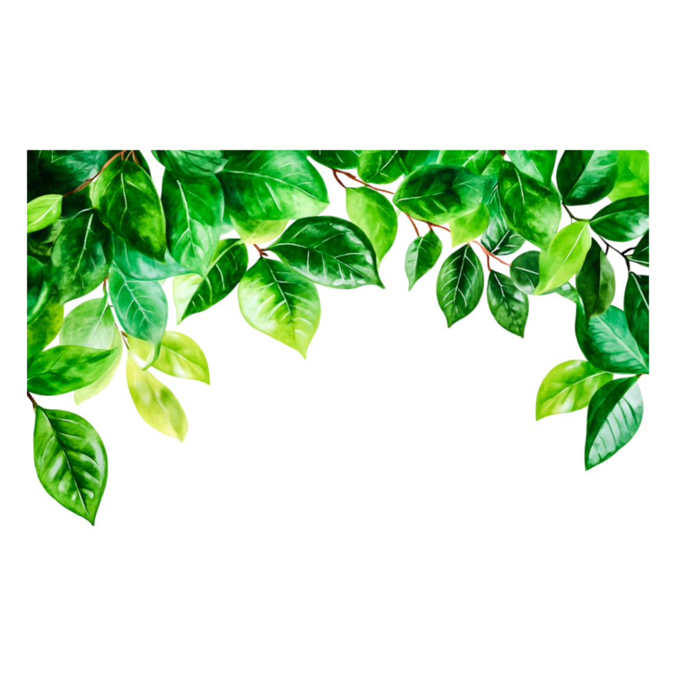 Lush Green Leaves Arrangement on Black Background for Fresh Aesthetic png