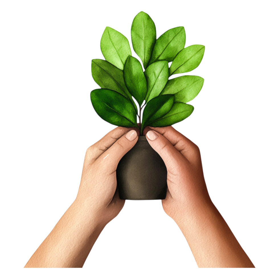 Hands Holding a Potted Plant with Lush Green Leaves and Earthy Pot png