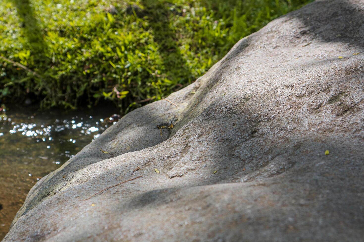 Stone product presentation podium in a jungle nature background. photo