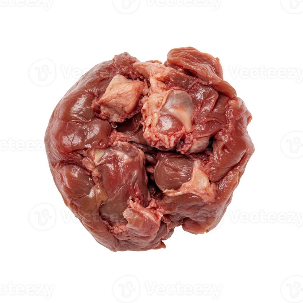 Raw Buffalo Offal Close Up on transparent background. png