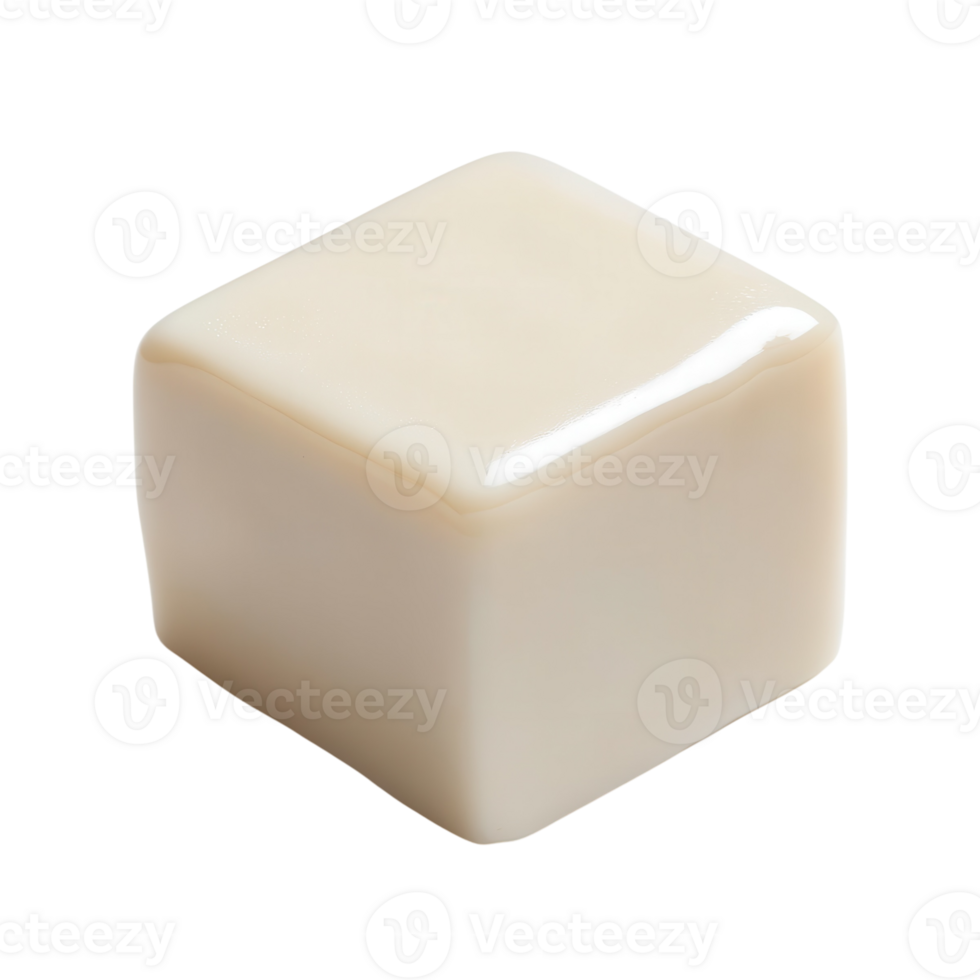 Fresh Tofu Cube Close Up on transparent background. png