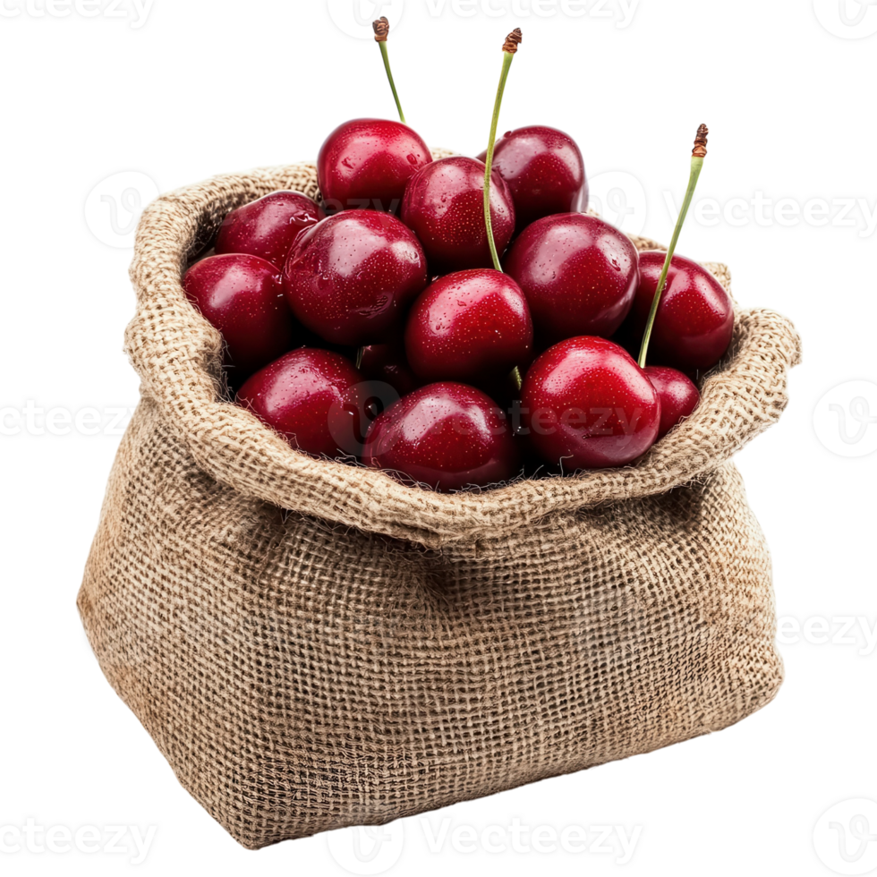 Sweet Cherries Rustic Burlap Sack on transparent background. png