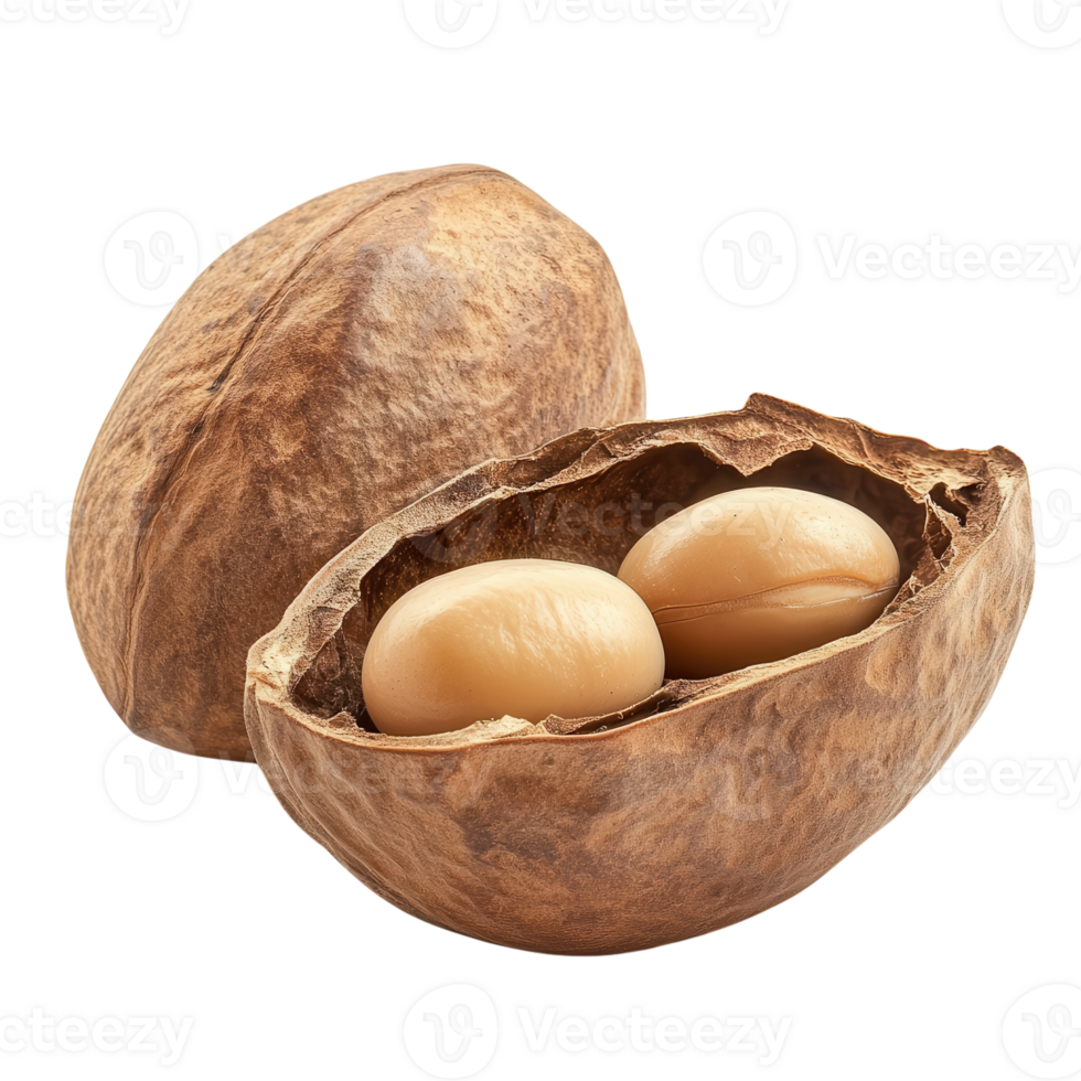 Soy Nut Natural Form on transparent background. png