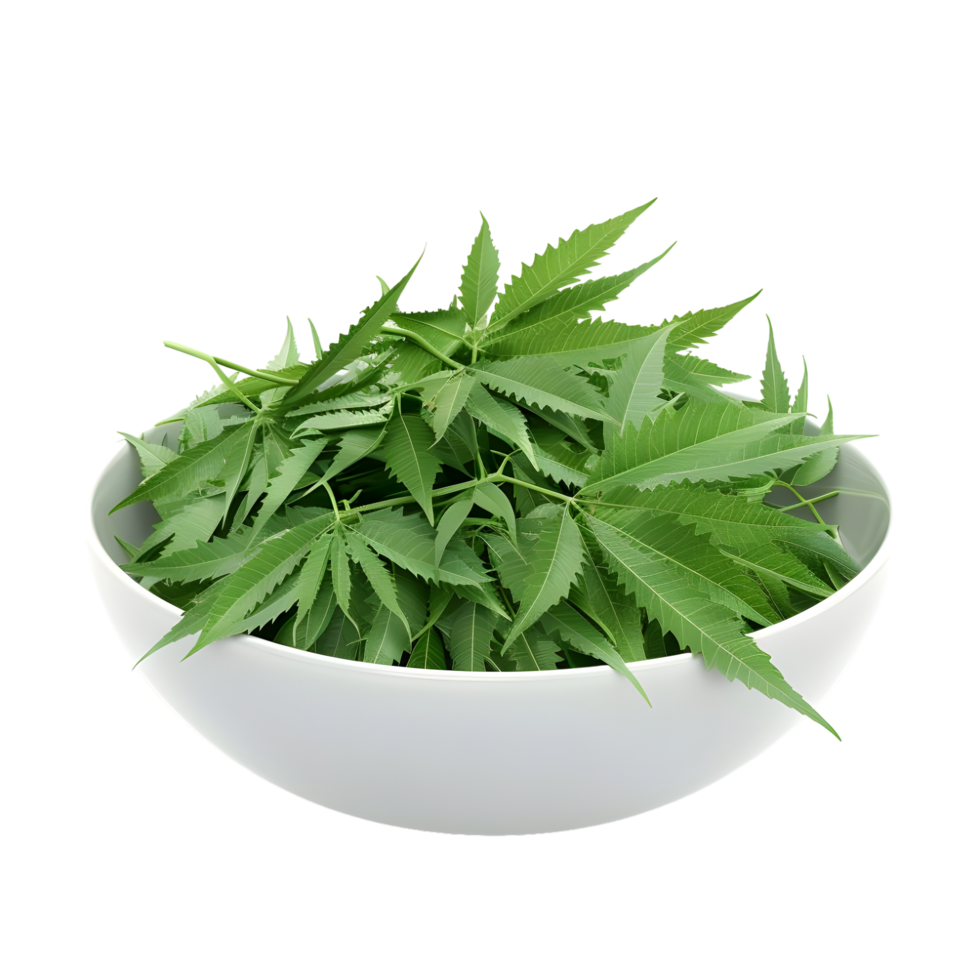 Green leaves in a white bowl isolated on transparent background png