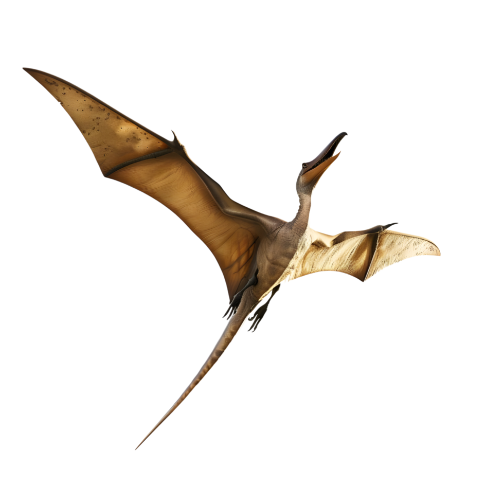 Pterodactyl flying with wings spread isolated on transparent background png
