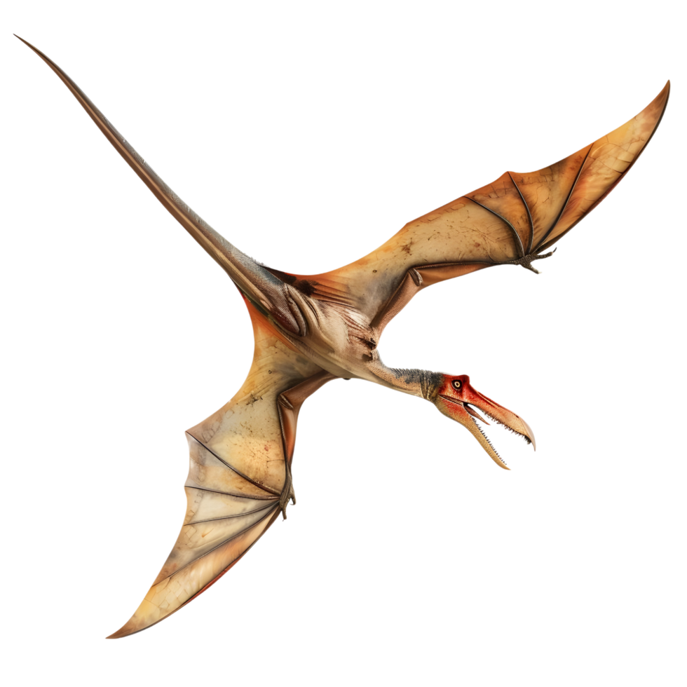 Pterodactyl flying with mouth open isolated on transparent background png