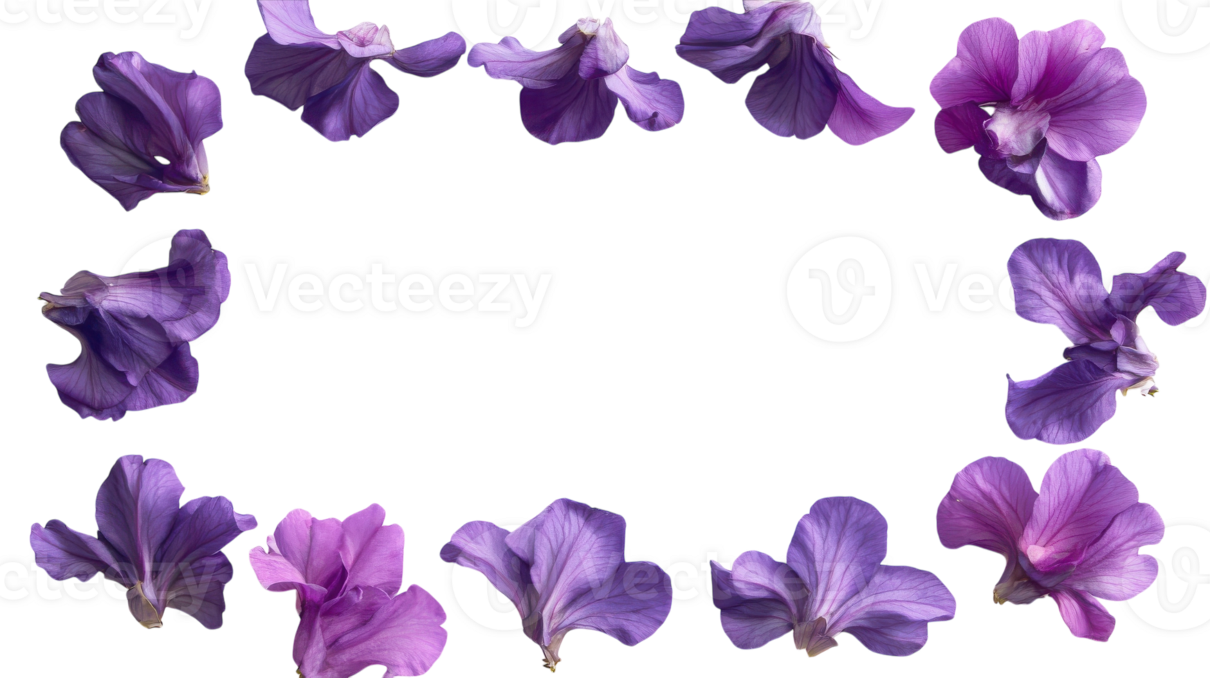 Beautiful purple flowers arranged in a decorative frame creating a vibrant and natural border png