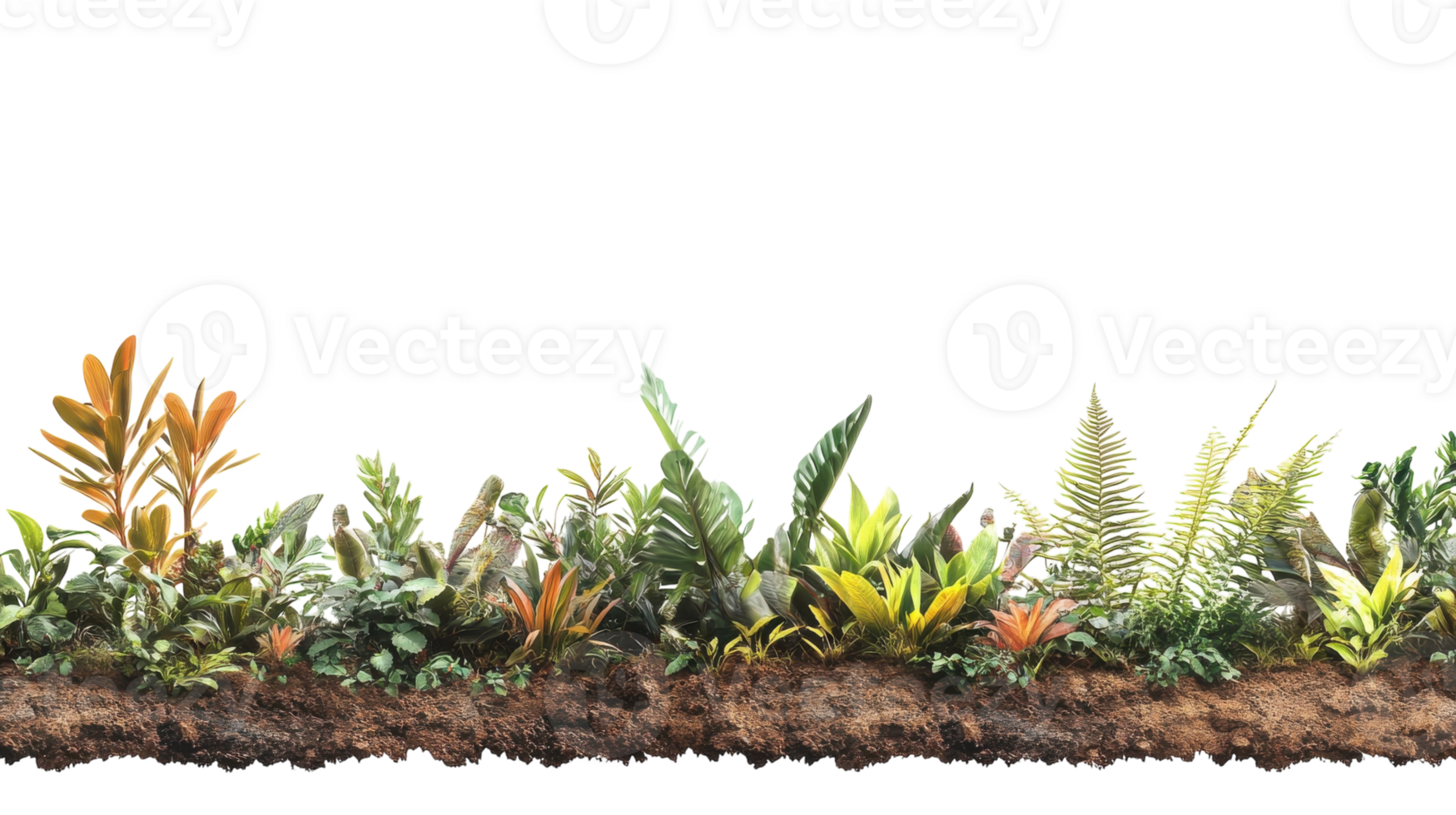 Lush green plants and ferns displaying vibrant colors in a natural setting during daylight hours png