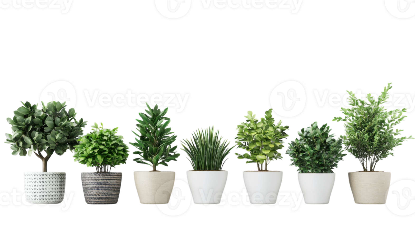 A row of different types of plants in white pots png