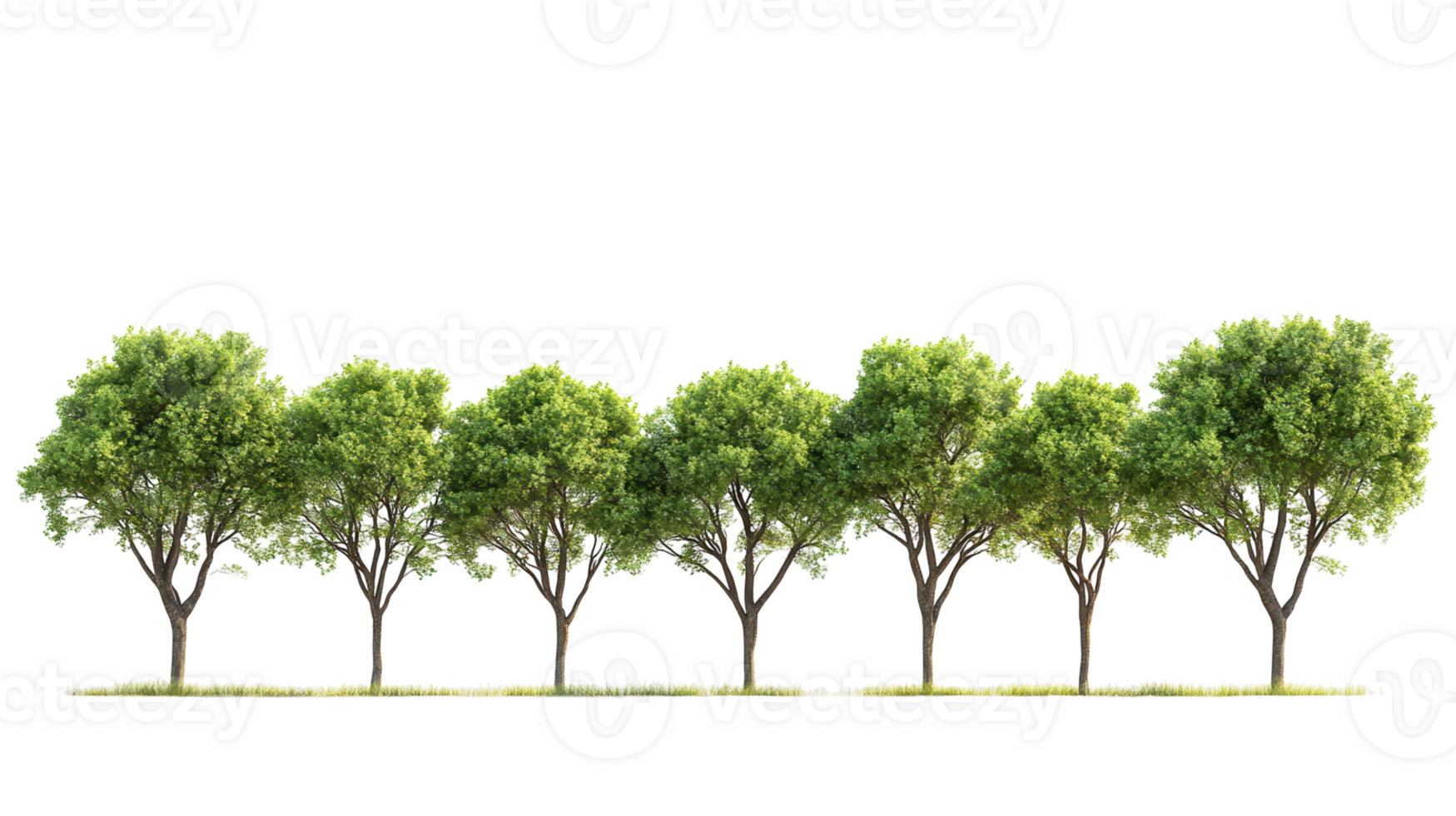 Series of lush green trees aligned in a row on a grassy field under clear blue sky png