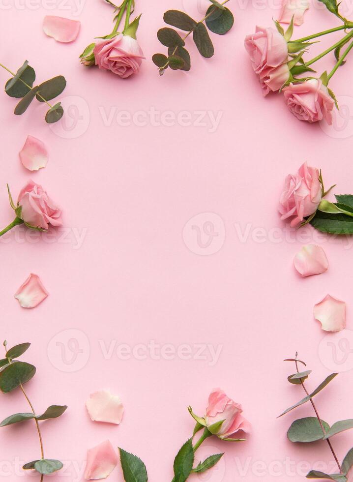 Pink roses and eucalyptus leaves creating a frame on a pink background photo