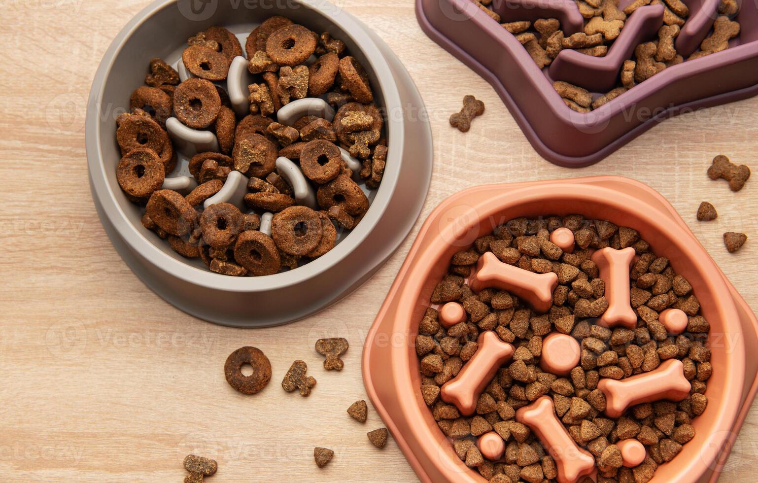 Slow feeder dog bowls with various dry food on wooden floor photo