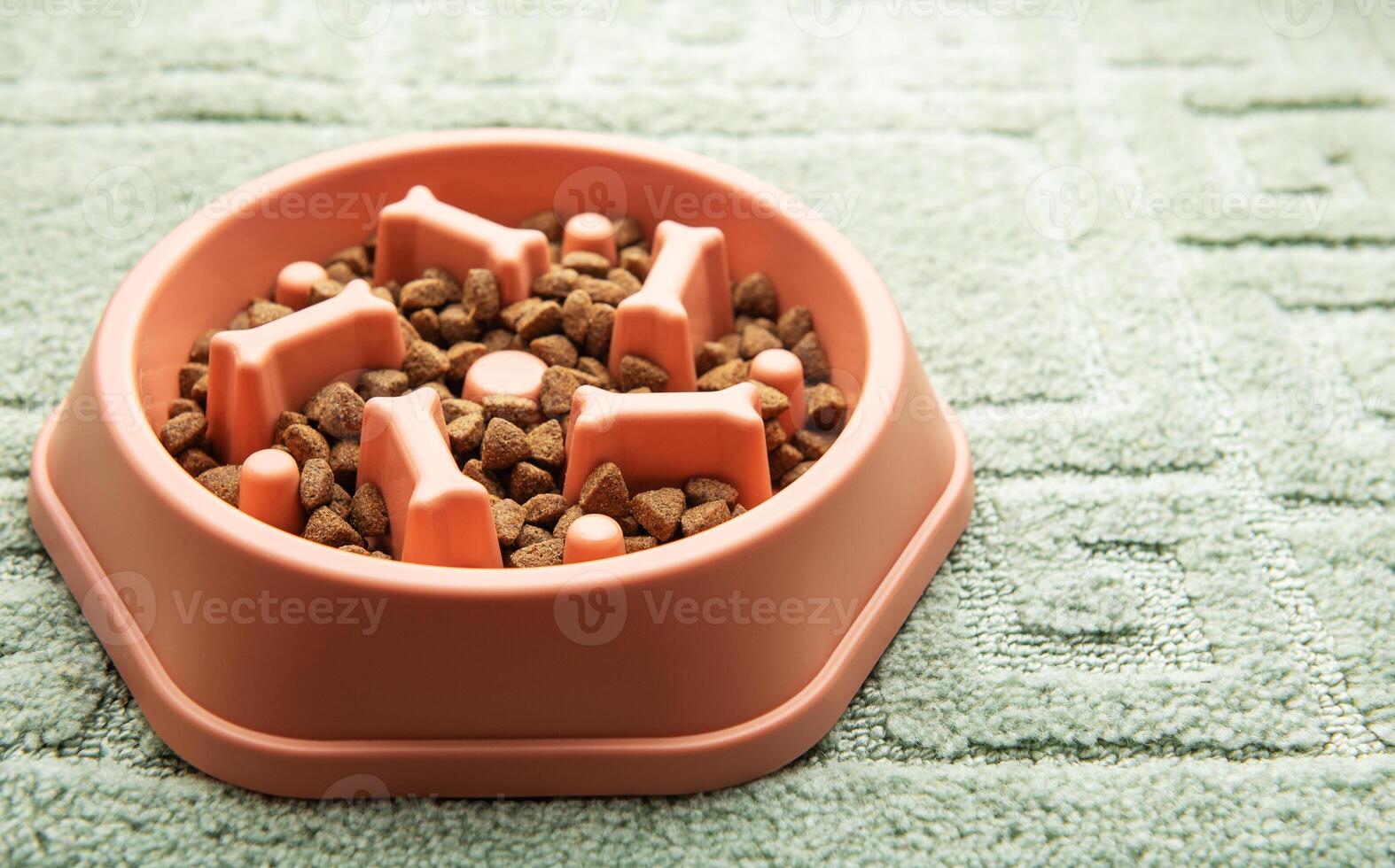 Slow feeder dog bowl photo