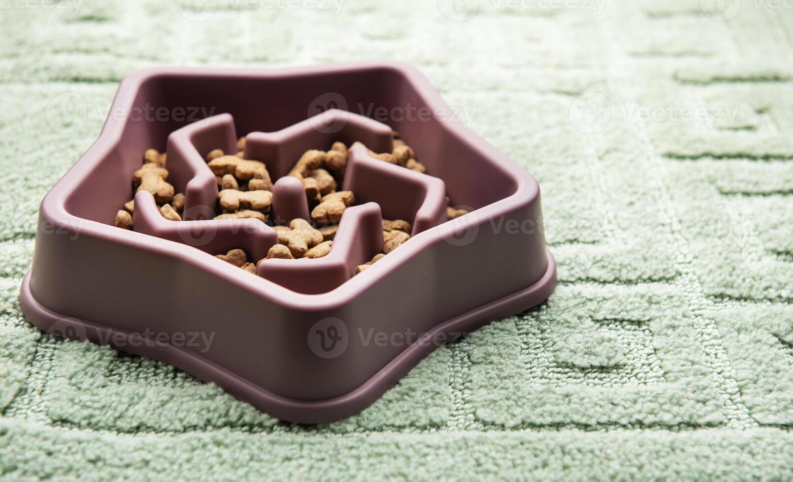 Star shaped slow feeder bowl on textured carpet photo