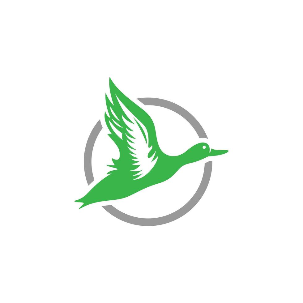 flying duck mallard migration Flying duck icon. Wild bird flight. Beautiful mallard vector