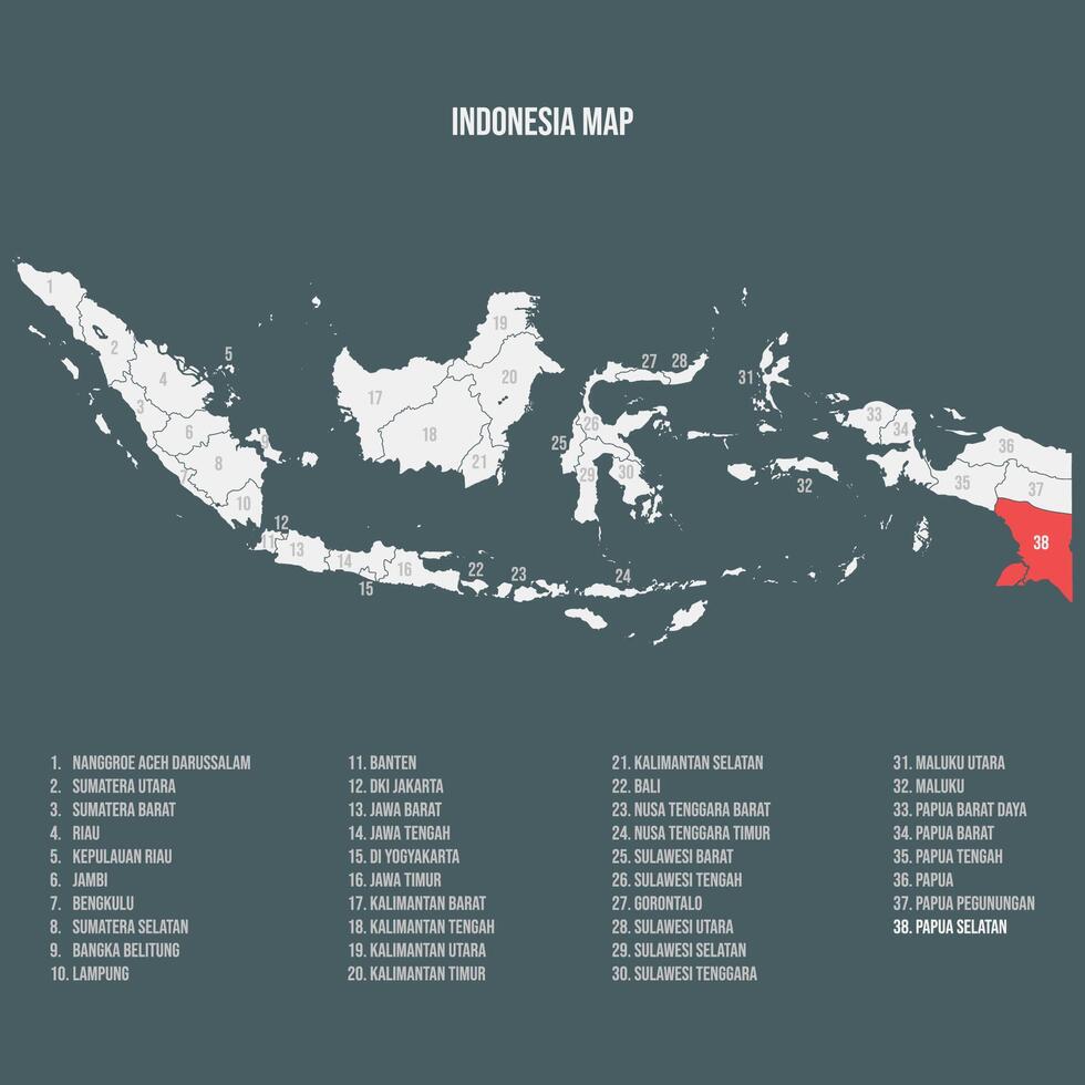 Indonesia Map with 38 Provinces - Papua Selatan vector