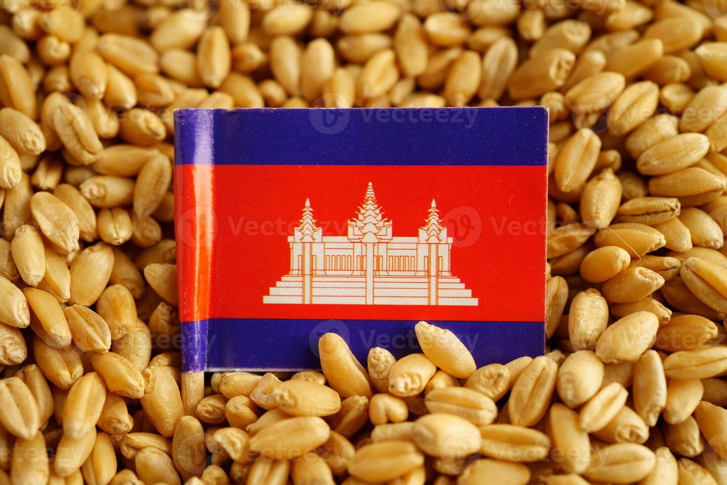 Cambodia flag on grain wheat, trade export and economy concept. photo