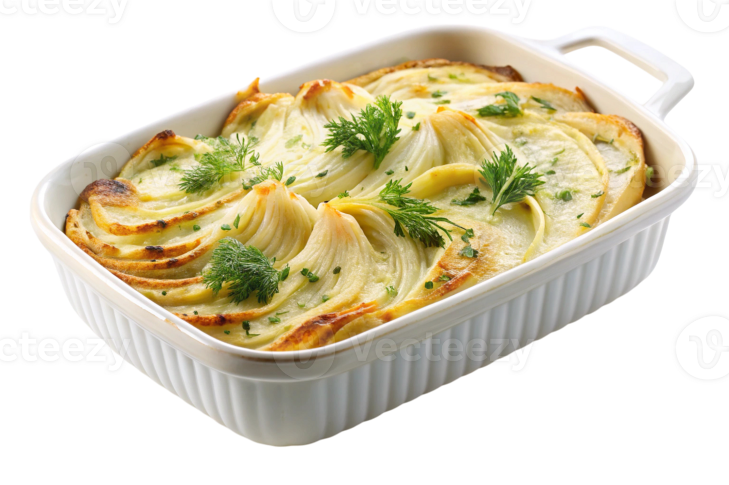 Fennel Gratin Simple and Delicious Recipe png