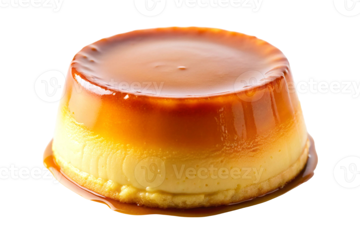 Flan Made Easy for Home Bakers png