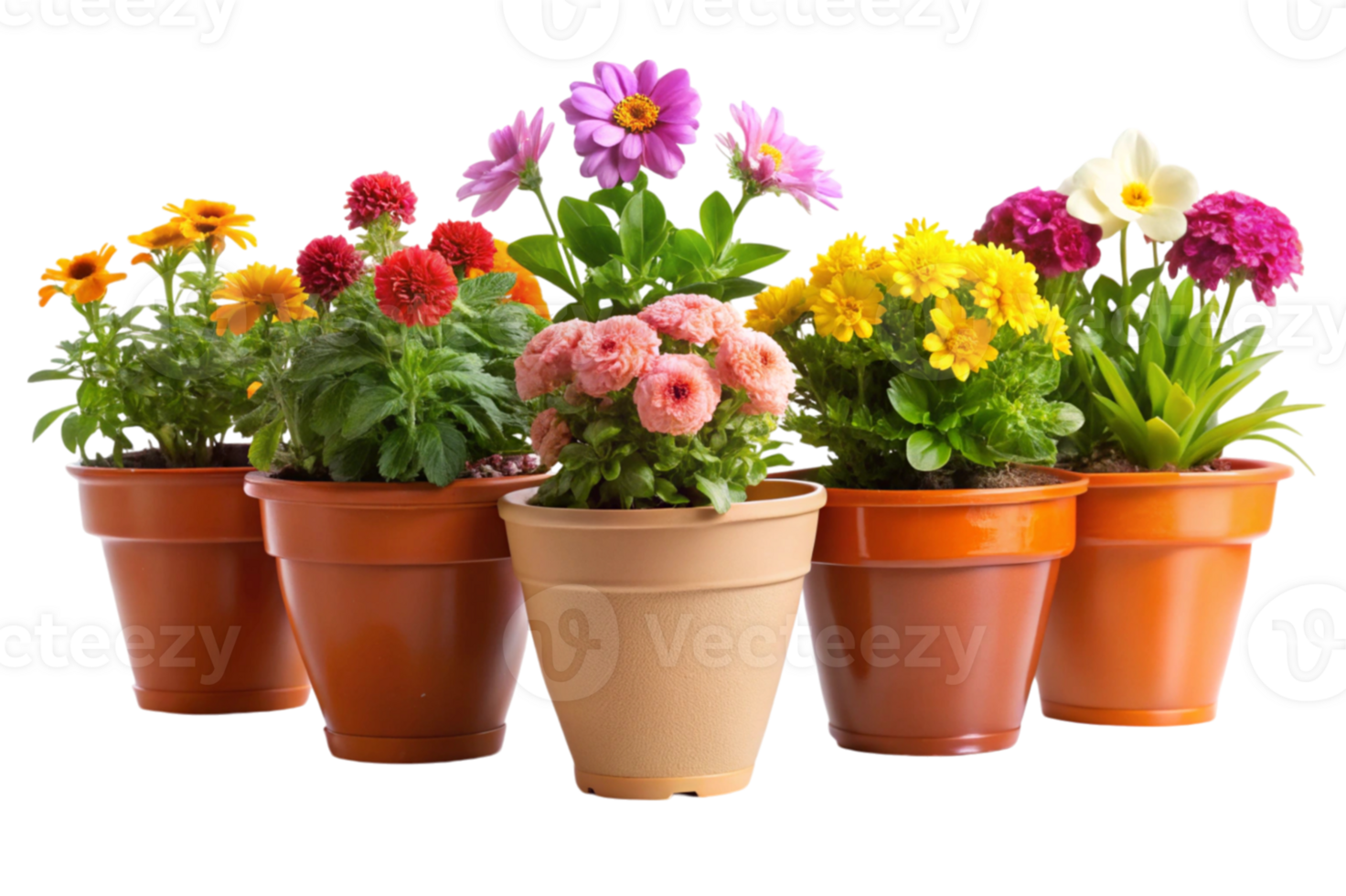 Flower Pots Add Beauty To Gardens png