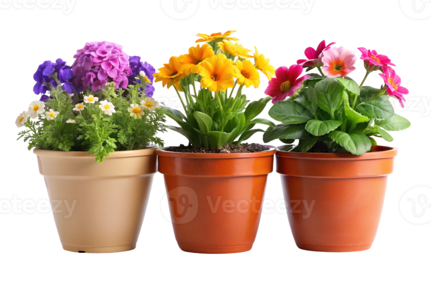 Flower Pots For Your Home Garden png