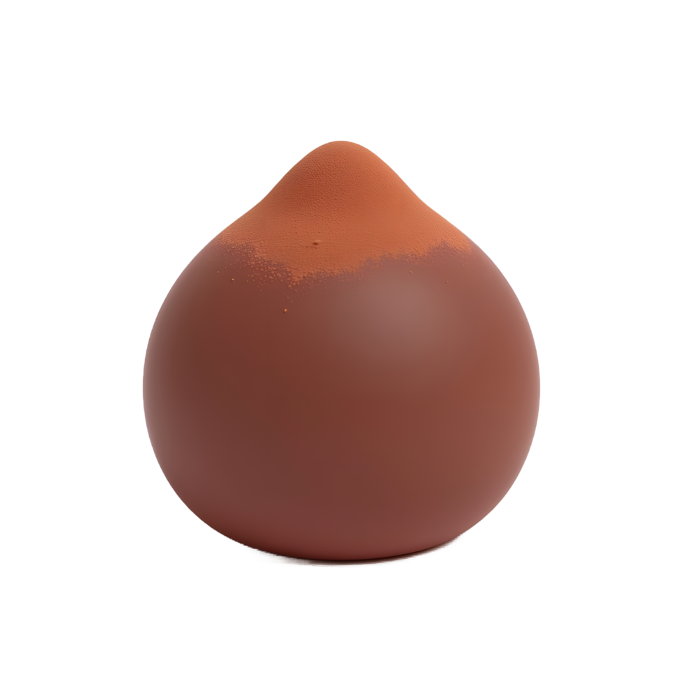 Gourmet Chocolate Truffle Dessert with Cocoa Powder png
