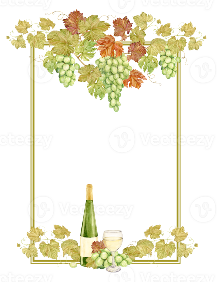 Watercolor vertical frame with grapes, wine bottle and glass. Illustration of grapevine, green berries and leaves. Frame for white wine, jam, juice label. Clipart for wine, cafe, restaurant. png
