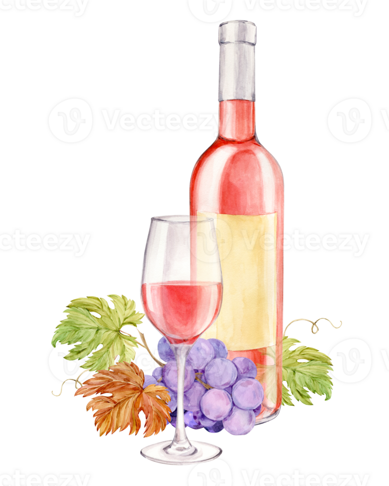 Realistic watercolor illustration of a bottle and a glass of rose wine. Hand drawn alcoholic drink and purple grapes lie on the table. Design element for bar and restaurant menu, tasting. png