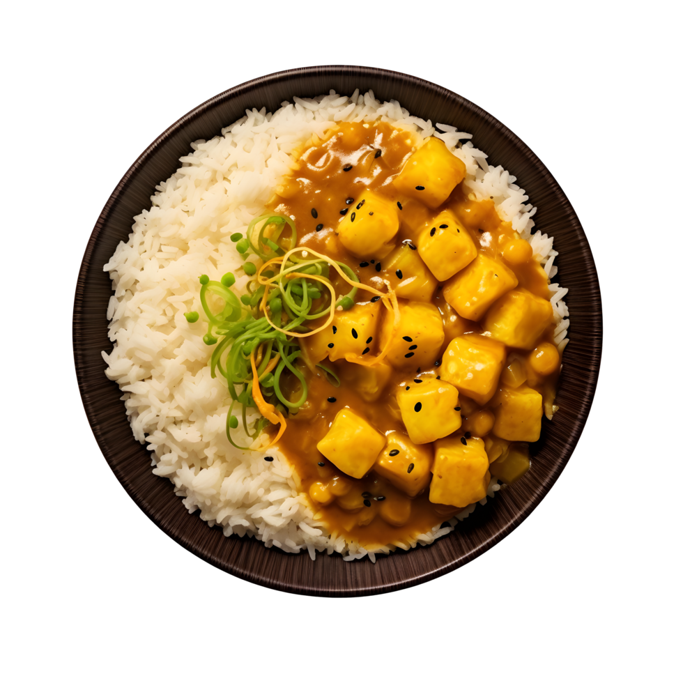 chicken curry with rice and green onions png