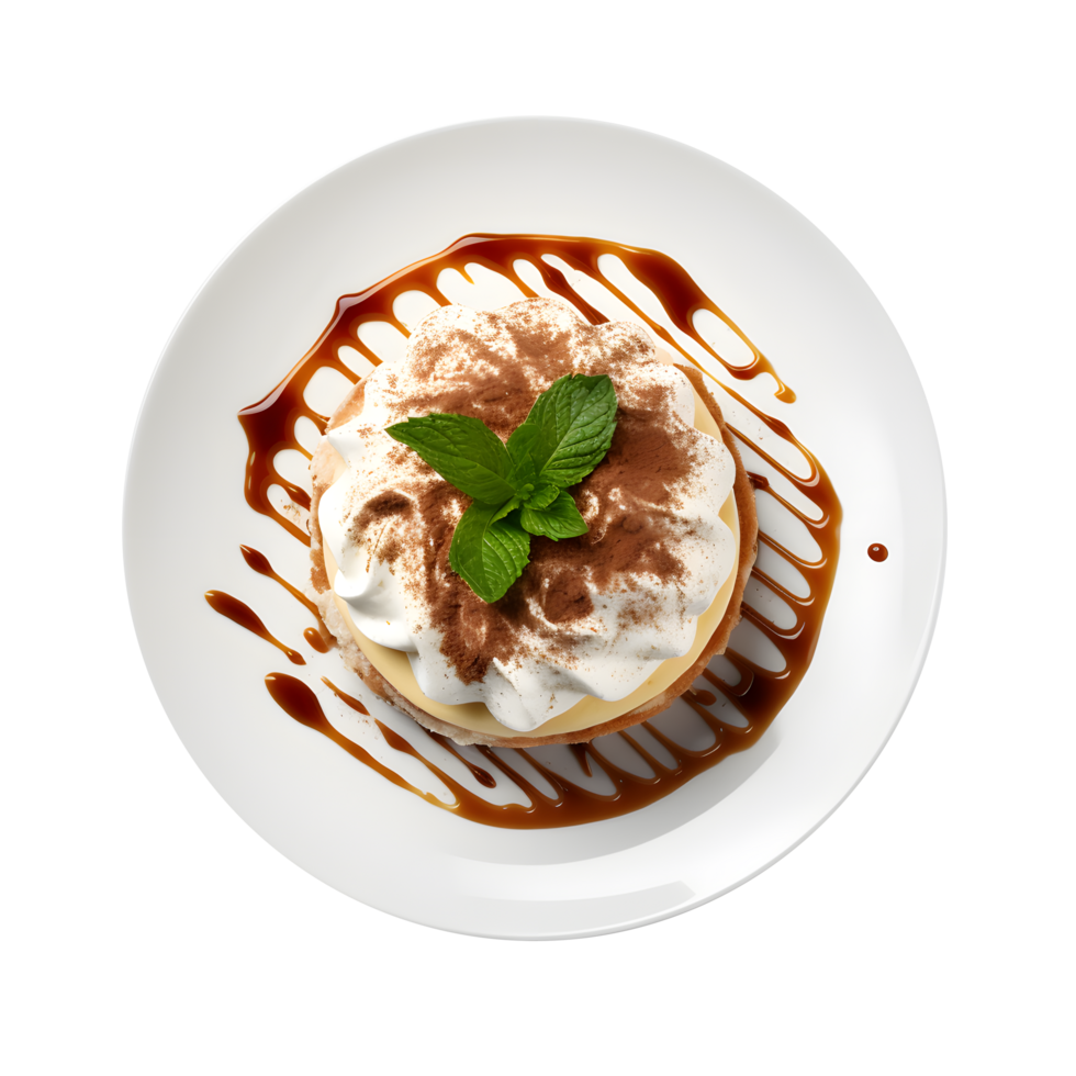 a dessert with whipped cream and chocolate sauce on a white plate png