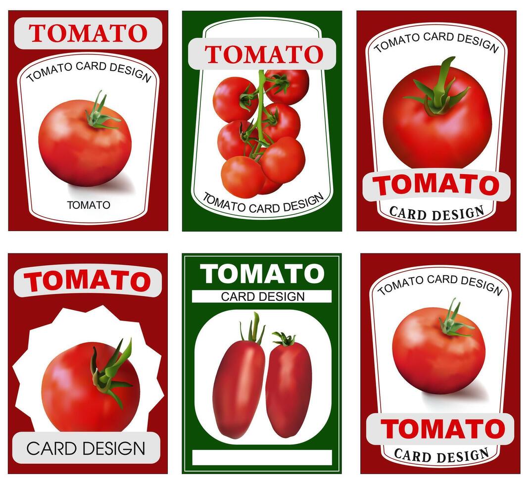 Tomato card design. Tomato label. Retro sticker of natural product tomatoes. Realistic image of vegetables vector