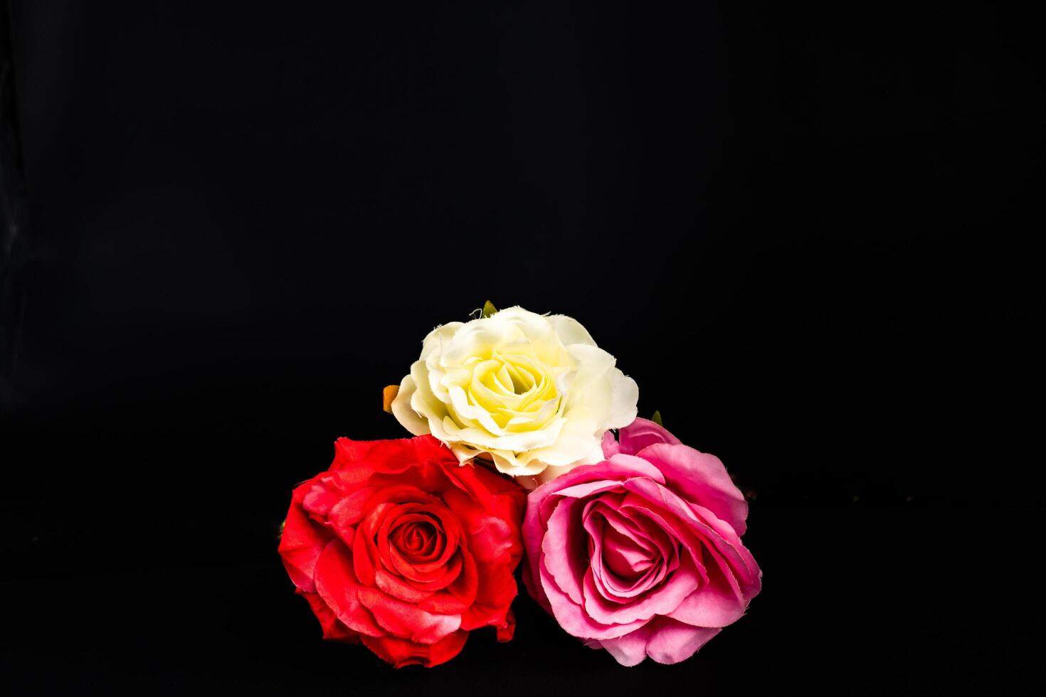 isolated red pink white rose bouquet black background valentine love romance symbol photo