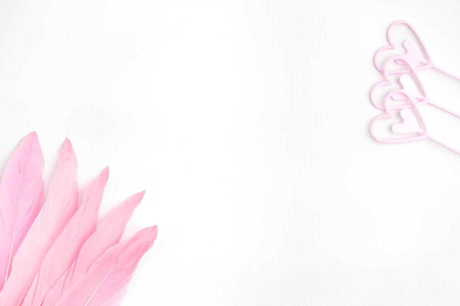 valentine romance white background pink feather and love signs empty negative copy space photo
