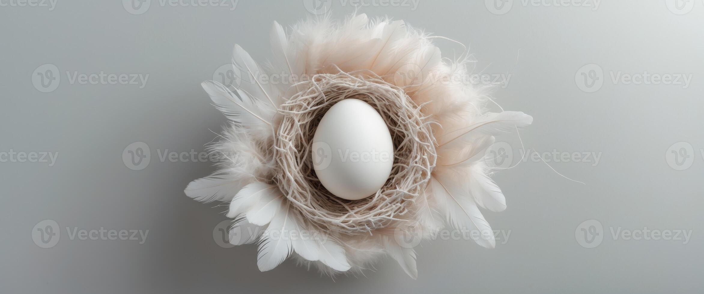 Pastel minimal concept featuring a white egg nestled in a textured nest with soft feathers on a light gray background viewed from above. photo