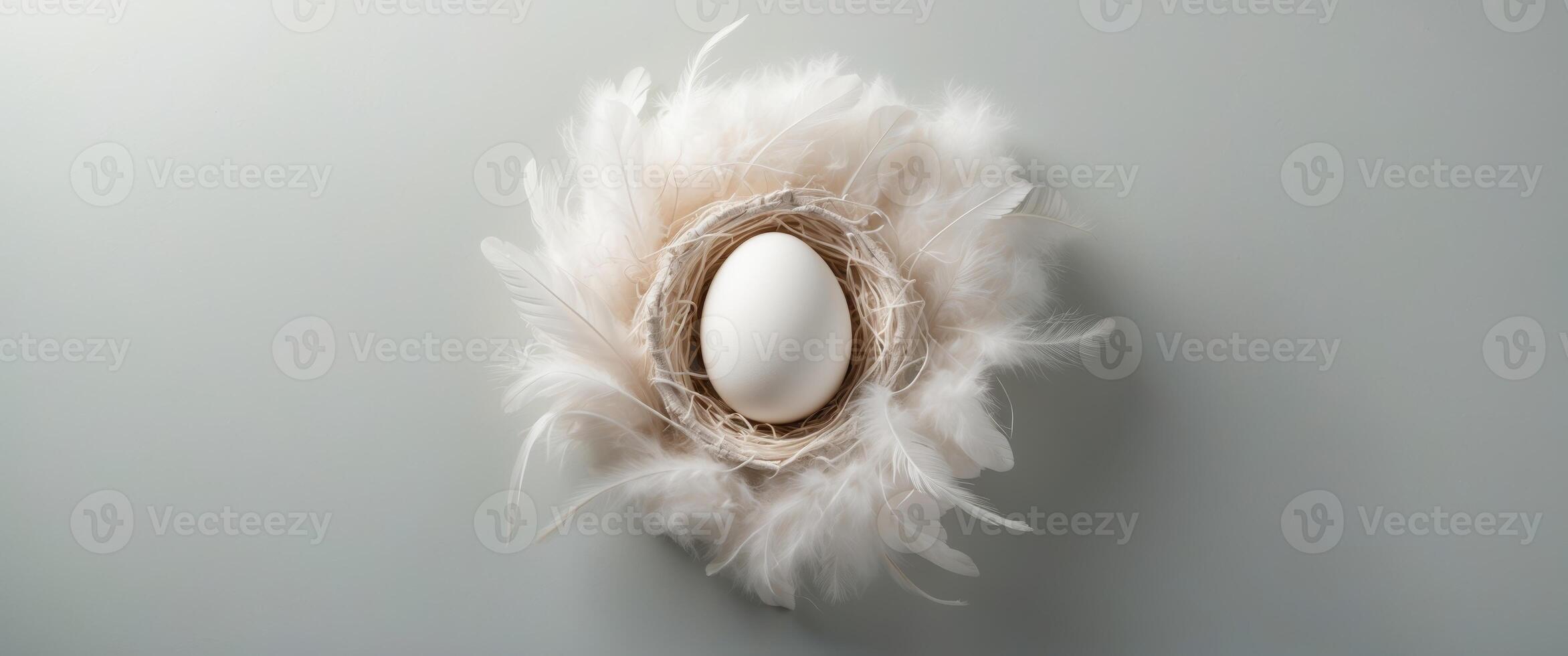 Pastel minimal concept featuring a white egg nestled in a textured nest with soft feathers on a light gray background viewed from above photo