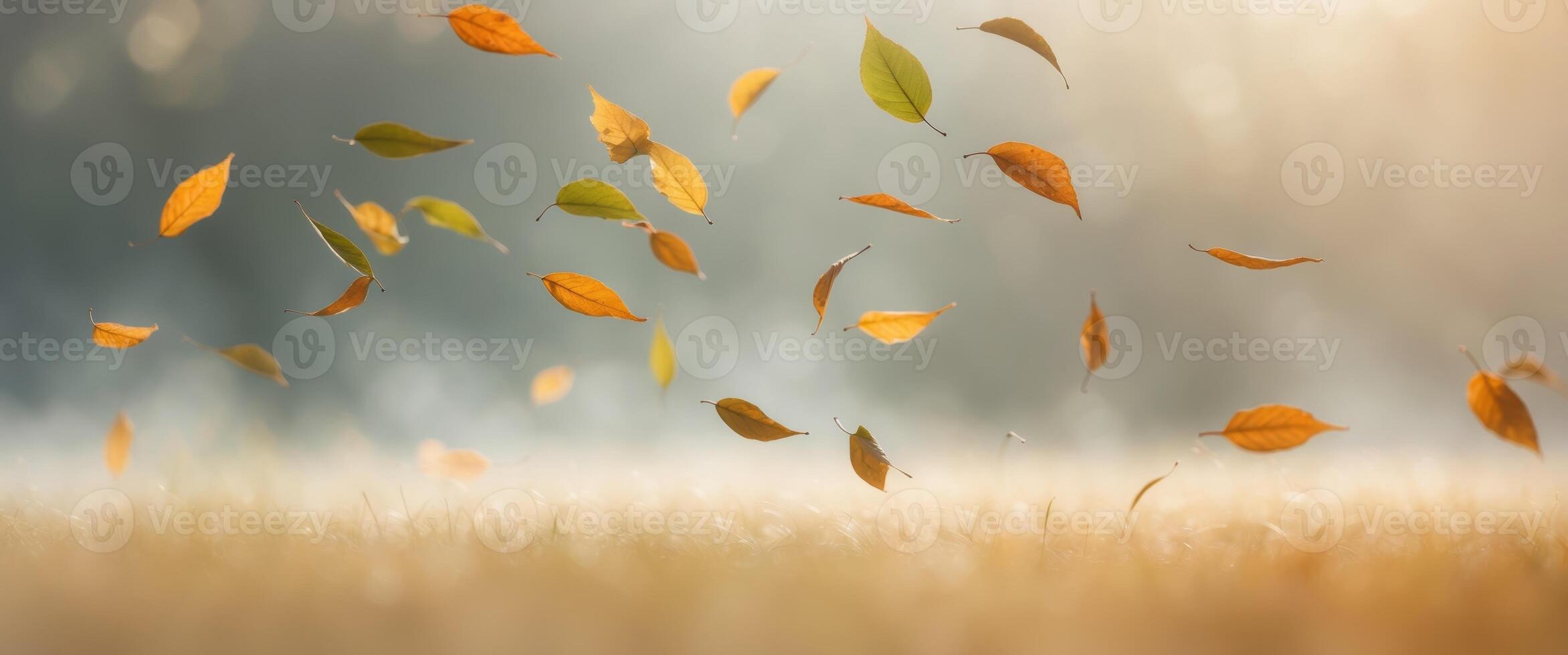 Leaves Caught in Wind with Soft Light Effect. photo