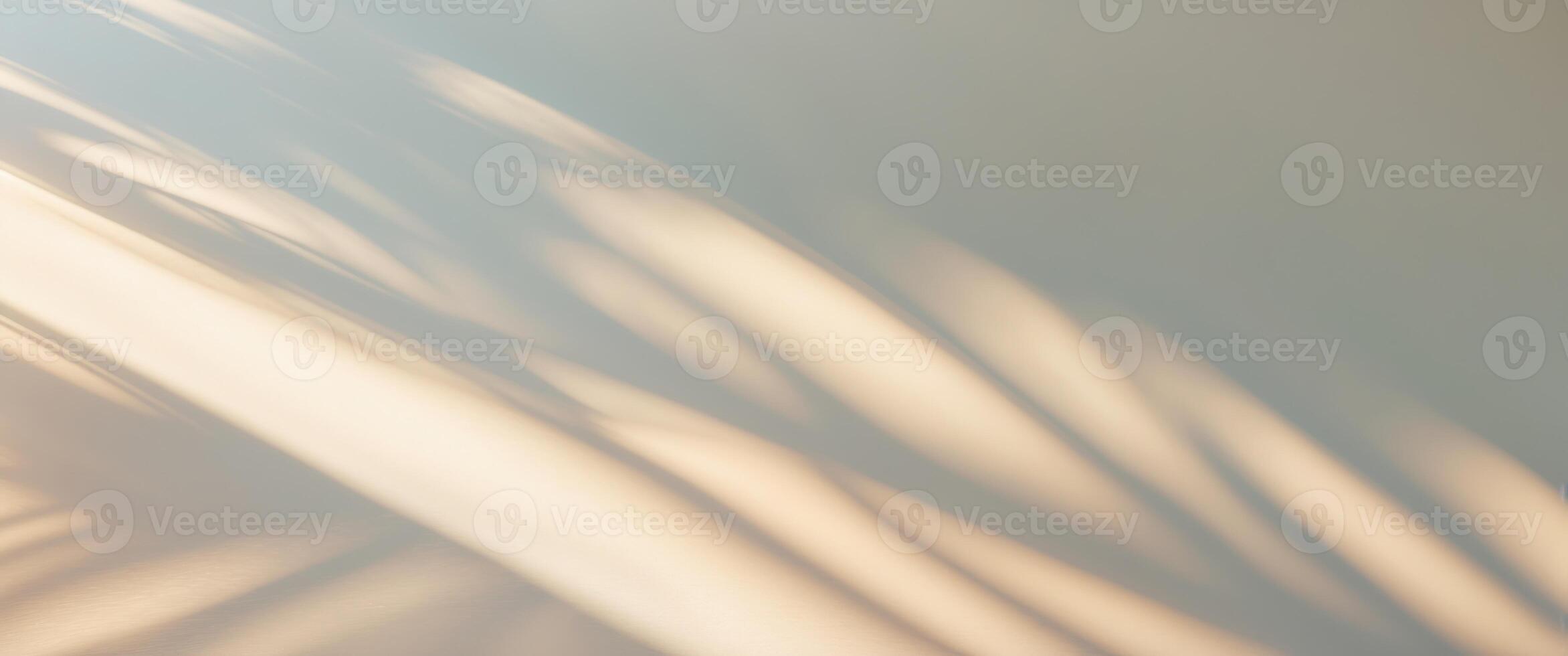 Relaxation in sunlight with soft shadows on a calm afternoon photo