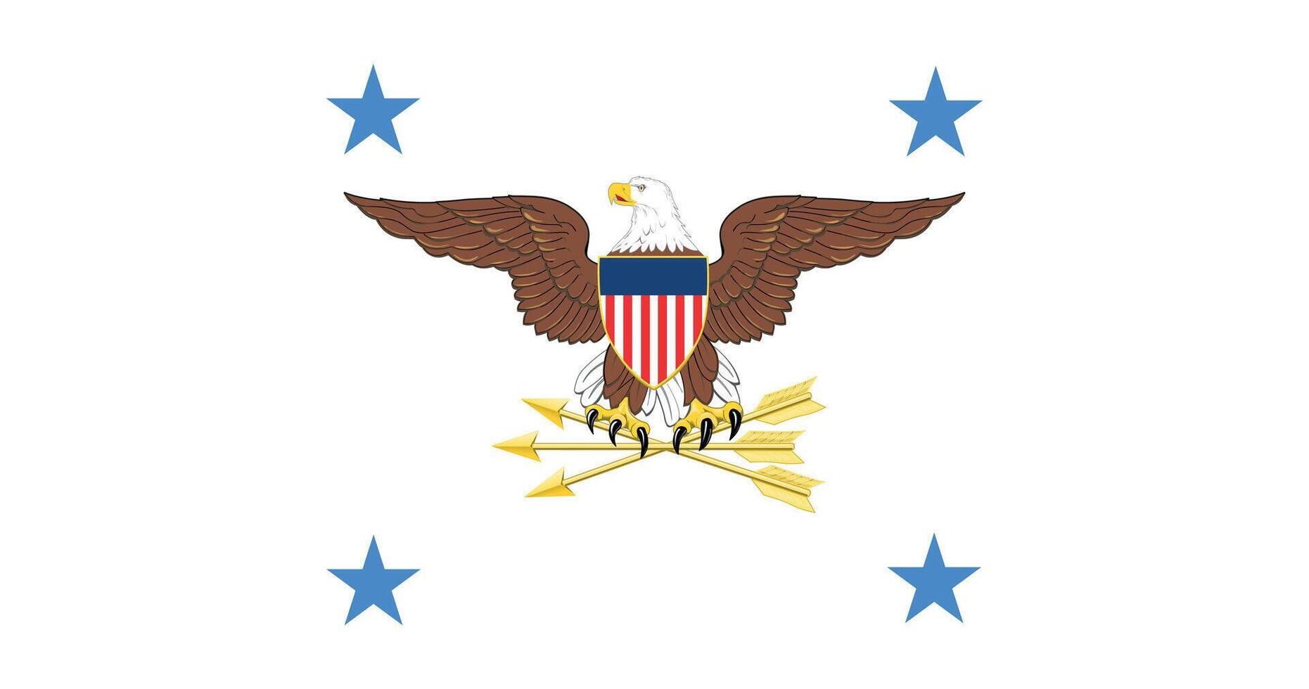 United States Deputy Secretary of Defense Flag Illustration Premium Quality vector