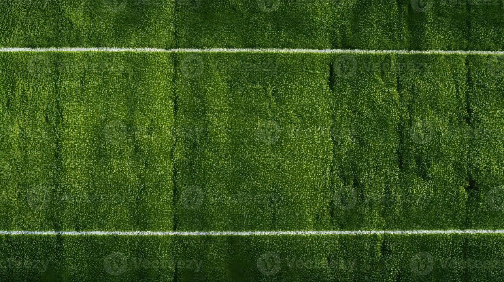 contrast football field texture photo