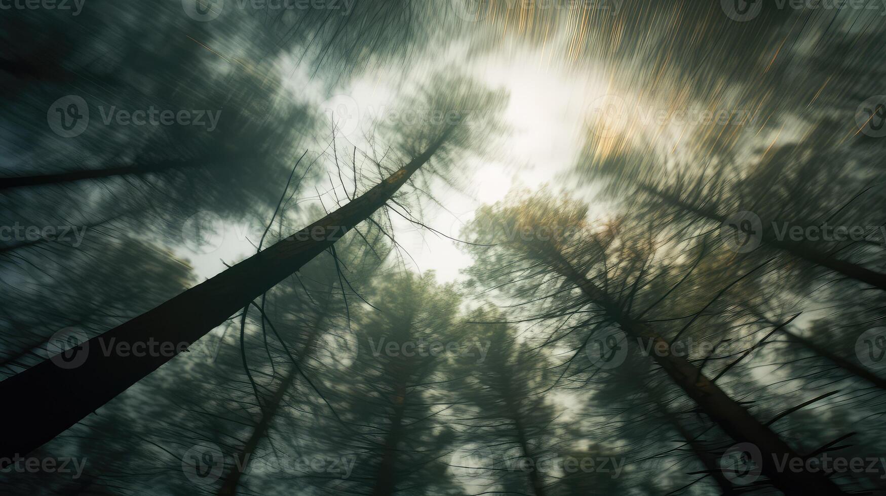 depth blurry tree background photo