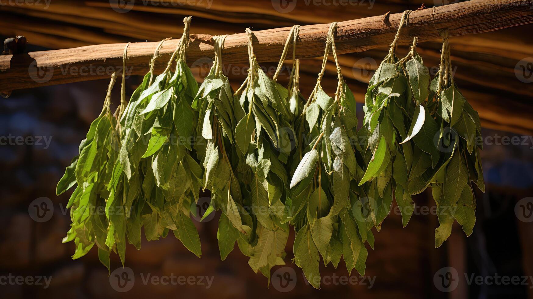 herb ashwagandha leaves photo