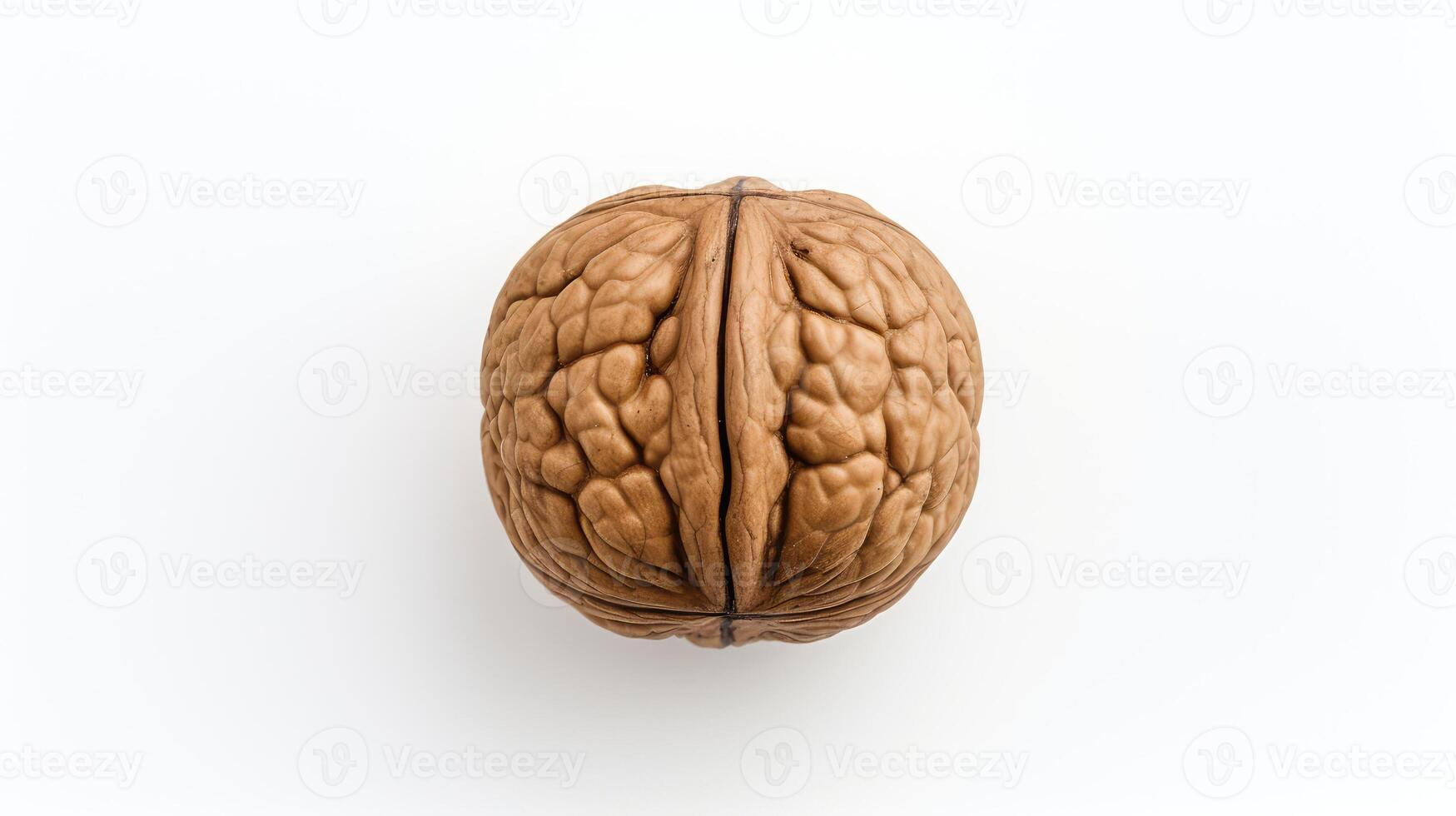 nut walnuts white background photo
