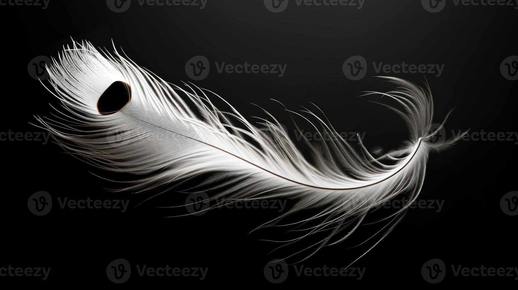 graceful black and white water color photo