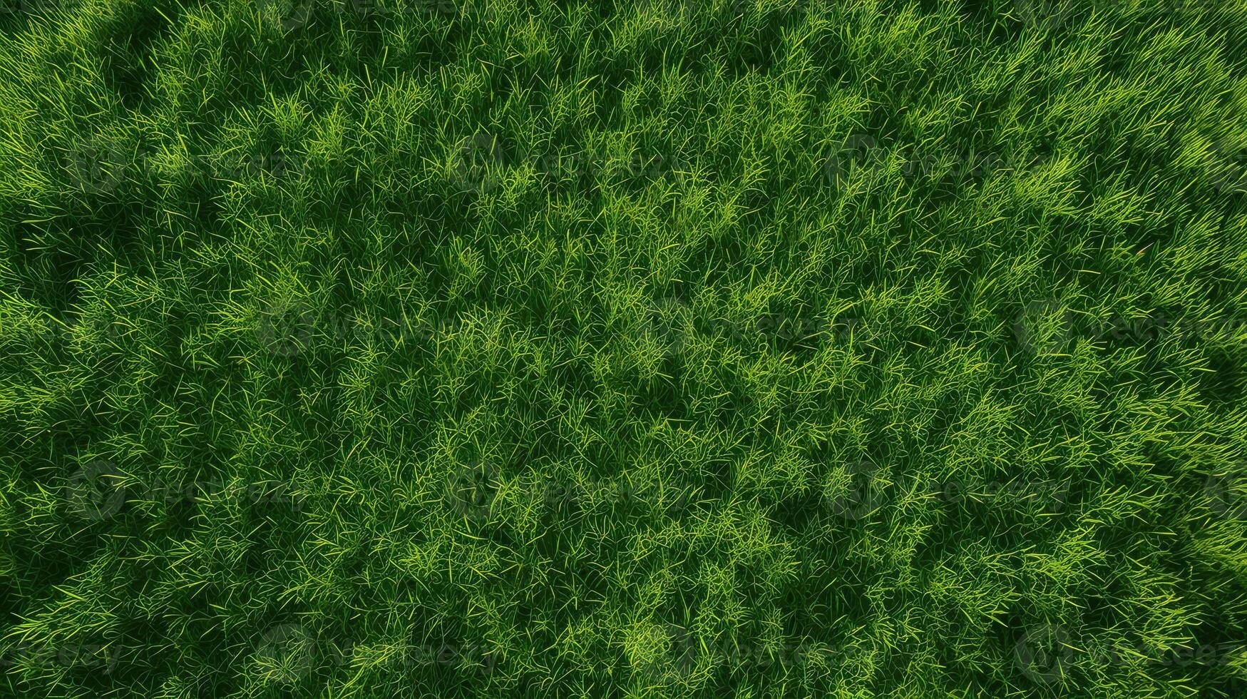 sunlight green grass texture photo