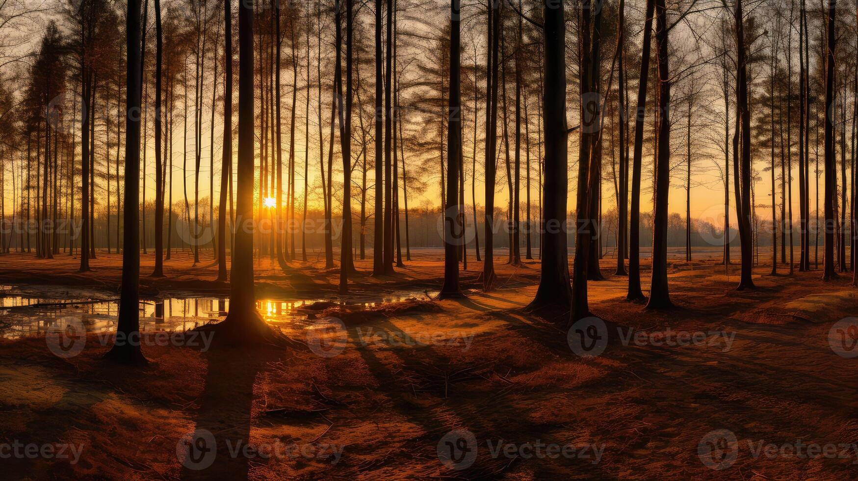 golden sunset with trees photo