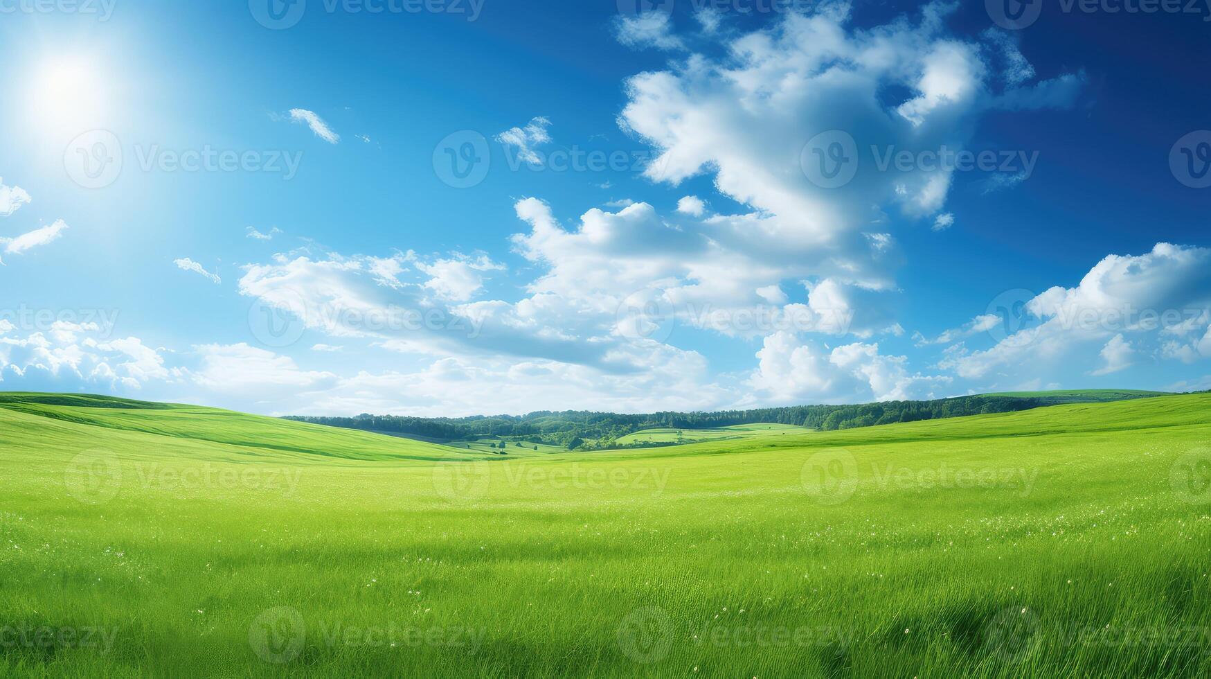 sky leap year green photo