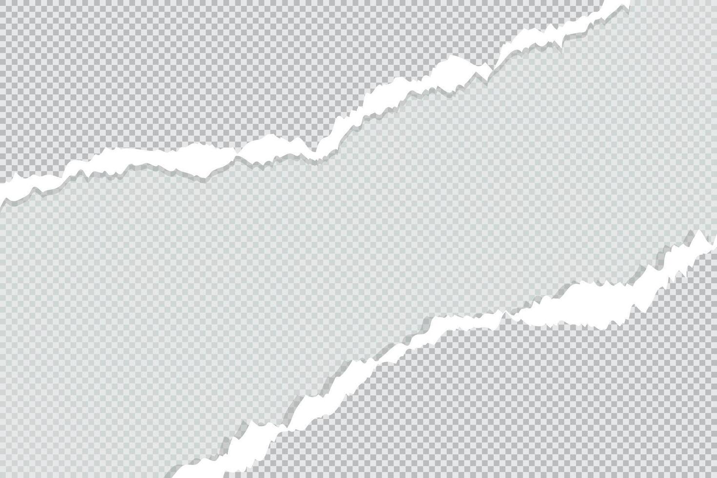 Ripped Torn paper sheet edge on Blank background with curled page vector